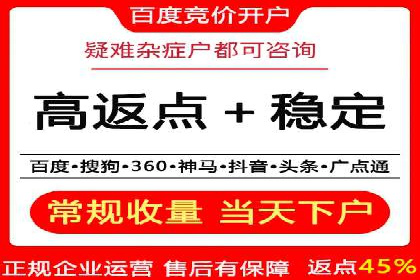 SEM竞价托管实战案例解析